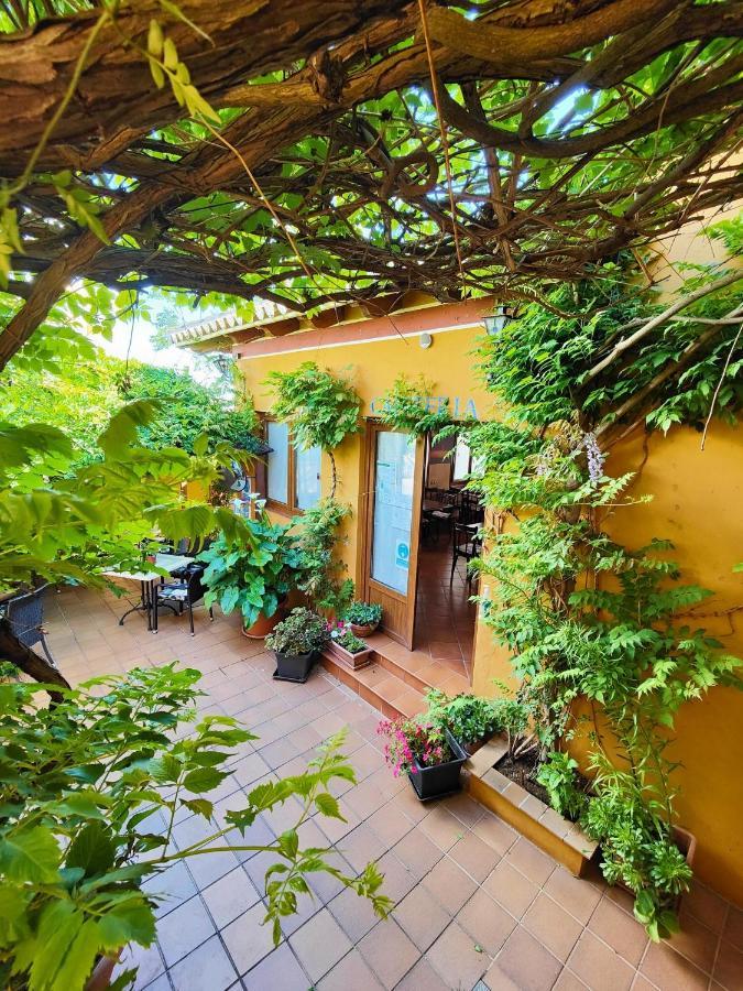 Hotel Donana Blues マタラスカニャス エクステリア 写真