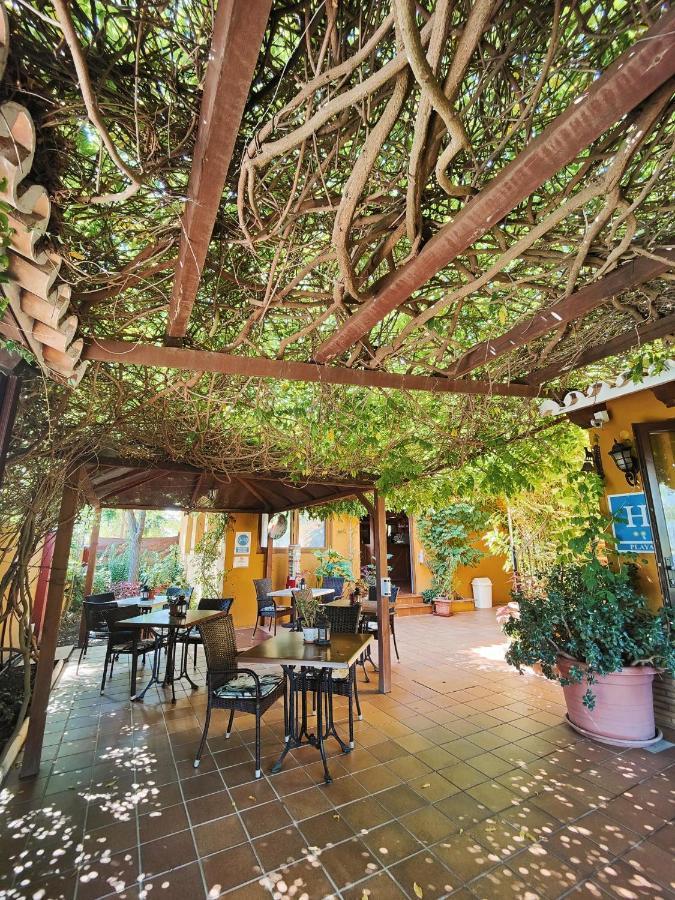 Hotel Donana Blues マタラスカニャス エクステリア 写真